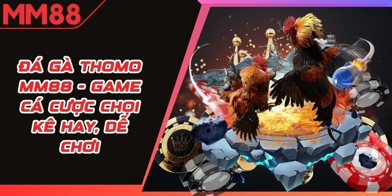 Đá Gà Thomo MM88